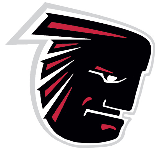 Atlanta Falcons Manning Face Logo iron on transfers...